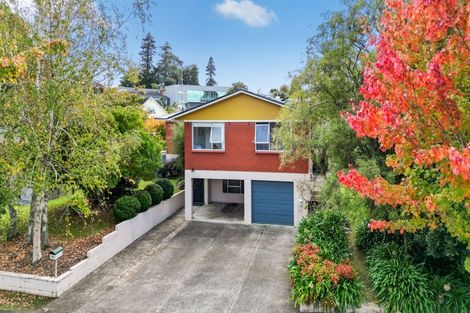 Photo of property in 84 Howell Avenue, Riverlea, Hamilton, 3216