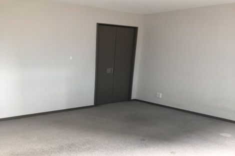 Photo of property in Dual Apartments, 301/142 Vivian Street, Te Aro, Wellington, 6011