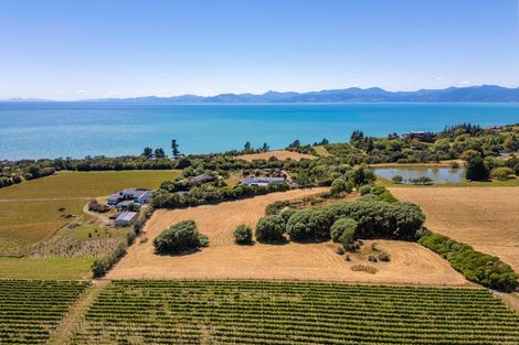 Photo of property in 50 Cliff Road, Tasman, Upper Moutere, 7173