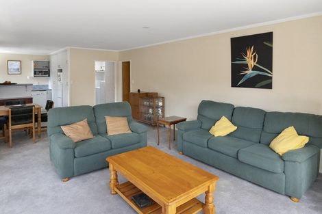 Photo of property in 3 Andrew Street, Blenheim, 7201