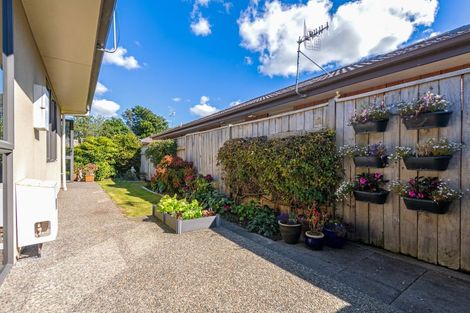 Photo of property in 25 Alfred Street, Roslyn, Palmerston North, 4414