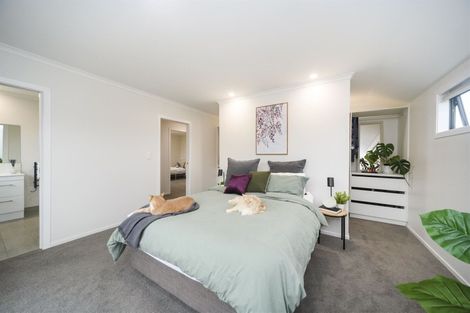 Photo of property in 24 Monarch Drive, Ashhurst, 4810