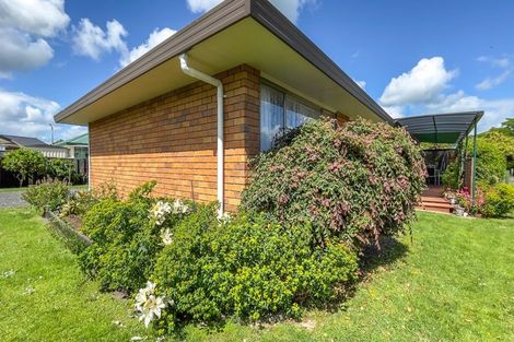 Photo of property in 41 Darlington Street, Ngatea, 3503
