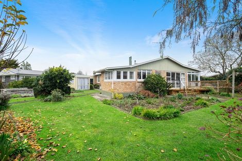 Photo of property in 11 Patricia Avenue, Hamilton East, Hamilton, 3216