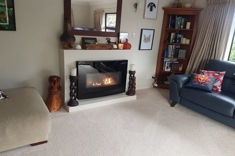 Photo of property in 77a Waterloo Crescent, Hokowhitu, Palmerston North, 4410