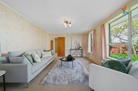Photo of property in 51 Britannia Street, Petone, Lower Hutt, 5012