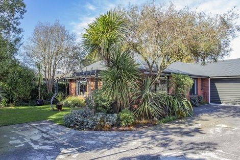 Photo of property in 56a Birchfield Avenue, Dallington, Christchurch, 8061