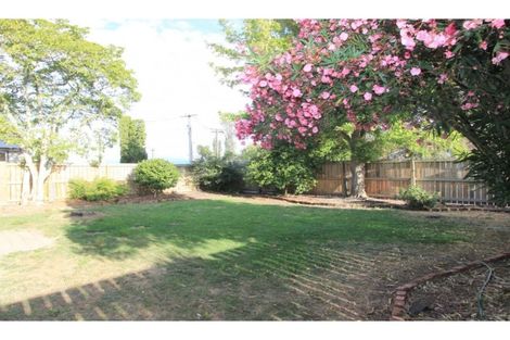 Photo of property in 49 Rogers Street, Blenheim, 7201