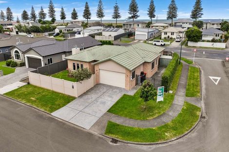 Photo of property in 117 Hunter Drive, Awatoto, Napier, 4110