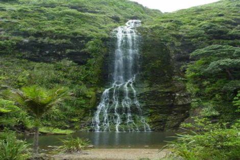 Photo of property in 164-166 Lone Kauri Road, Karekare, New Lynn, 0772