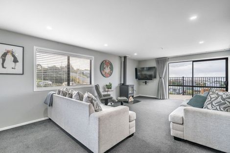 Photo of property in 46a Theodore Street, Bluff, 9814