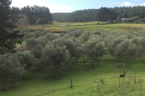 Photo of property in 4560 Pouto Road, Pouto, Te Kopuru, 0391