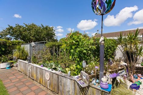 Photo of property in 29 Newton Street, Fitzroy, New Plymouth, 4312