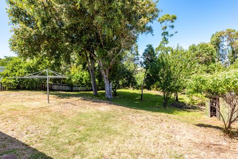Photo of property in 40 Lyndhurst Street, Awapuni, Gisborne, 4010