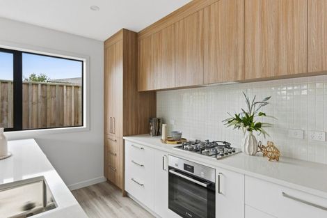 Photo of property in 1/17 Clark Street, Levin, 5510