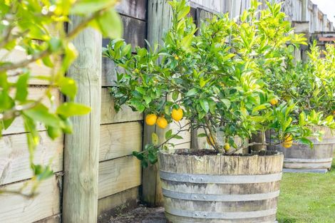 Photo of property in 4 Aragon Grove, Kingsley Heights, Upper Hutt, 5018