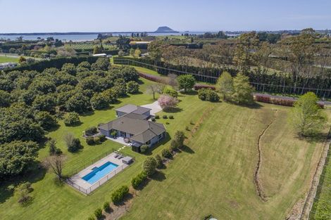 Photo of property in 257 Te Puna Road, Te Puna, Tauranga, 3176