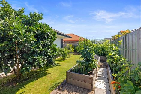 Photo of property in 59b Plateau Heights, Mount Maunganui, 3116