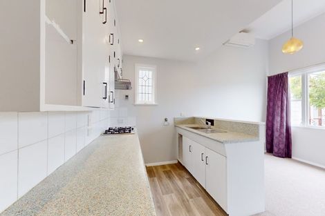 Photo of property in 141 Coromandel Street, Newtown, Wellington, 6021