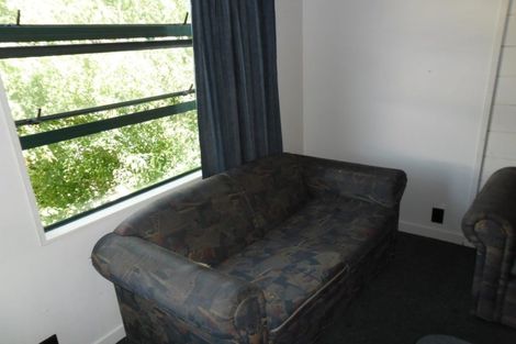 Photo of property in Te Awhina Apartments, 29/22 Sussex Street, Mount Cook, Wellington, 6021
