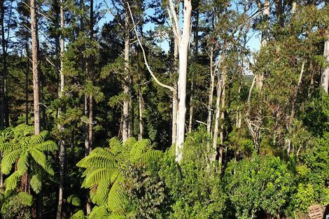 Photo of property in 1226a Pyes Pa Road, Pyes Pa, Tauranga, 3173