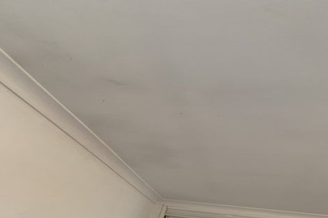 Photo of property in 37 Fernbrook Close, Burswood, Auckland, 2013