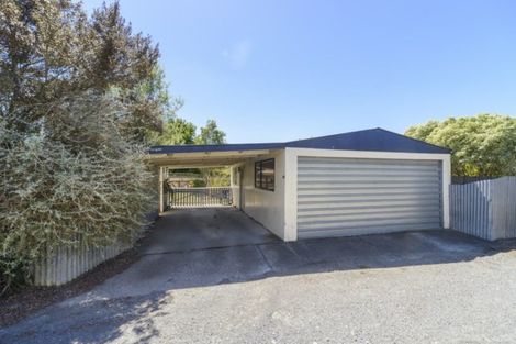 Photo of property in 20 Churcher Street, Feilding, 4702