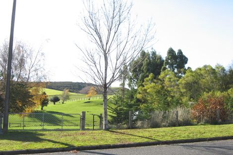 Photo of property in 17 Maitland Street, East Gore, Gore, 9710