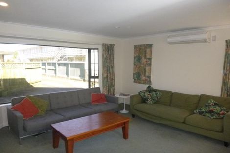 Photo of property in 3/45 Brunswick Street, Hutt Central, Lower Hutt, 5010