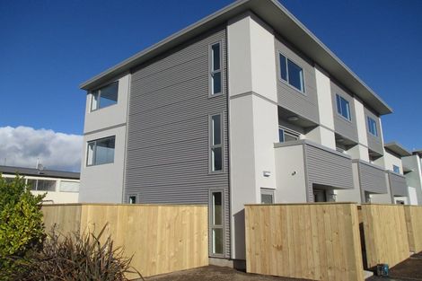 Photo of property in 461 Barbadoes Street, Edgeware, Christchurch, 8013