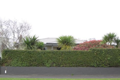 Photo of property in 251 Coronation Avenue, Welbourn, New Plymouth, 4310