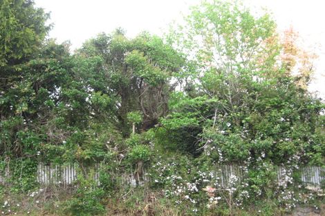 Photo of property in 26 Woodlands Road, Opotiki, 3122