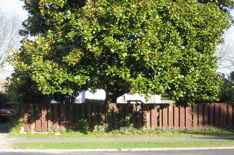 Photo of property in 46 Tongariro Street, Chartwell, Hamilton, 3210