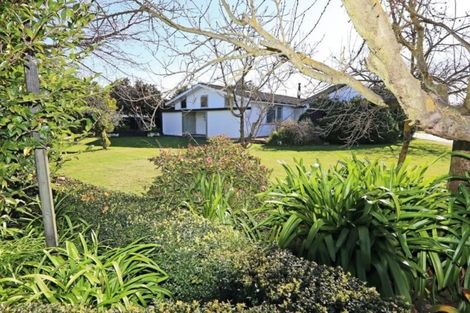 Photo of property in 711 York Street, Mahora, Hastings, 4120