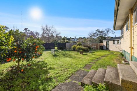 Photo of property in 39 Daytona Road, Henderson, Auckland, 0610