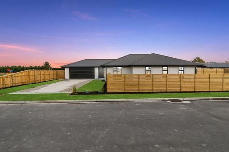 Photo of property in 3 Meadow Lane, Tinwald, 7774