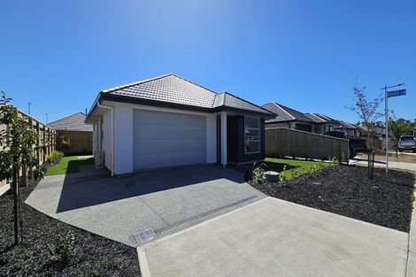 Photo of property in 22 Drayton Street, Richmond, 7020
