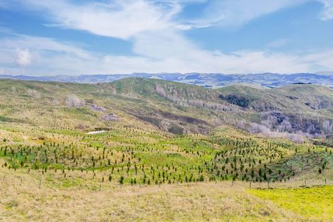 Photo of property in 638 Old Hill Road, Porangahau, 4291