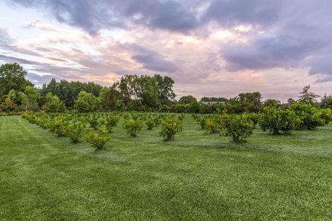 Photo of property in 1079 Kahikatea Flat Road, Waitoki, Kaukapakapa, 0871