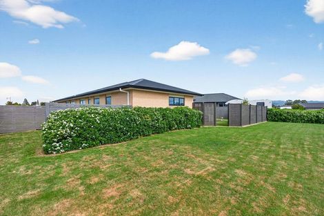 Photo of property in 2 Craigmillar Street, Solway, Masterton, 5810