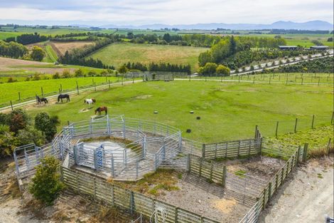 Photo of property in 234 Spur Road, Hadlow, Timaru, 7975