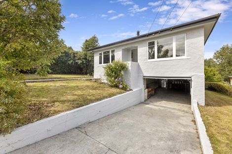Photo of property in 53 Gormack Street, Balclutha, 9230