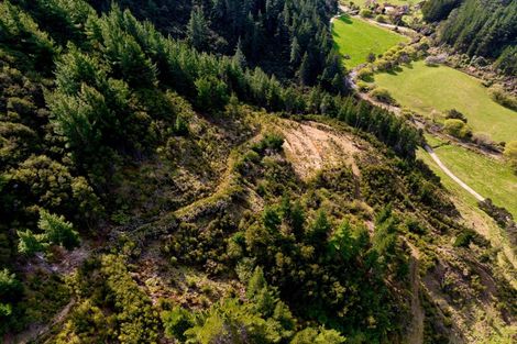 Photo of property in 895 Waikakaho Road, Tuamarina, Blenheim, 7273