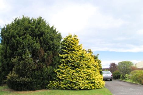 Photo of property in 61 Koha Road, Taupo, 3330