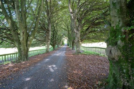 Photo of property in 2291 Maungatautari Road, Maungatautari, Cambridge, 3494