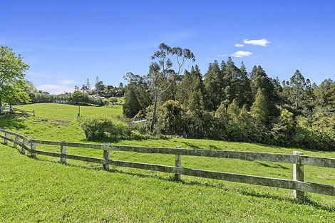 Photo of property in 180 Kahikatea Flat Road, Dairy Flat, Albany, 0794