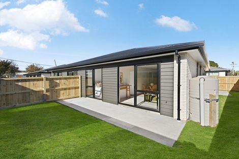 Photo of property in 17 Fend Street, Chartwell, Hamilton, 3210