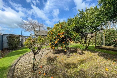 Photo of property in 48 Tower Road, Matamata, 3400