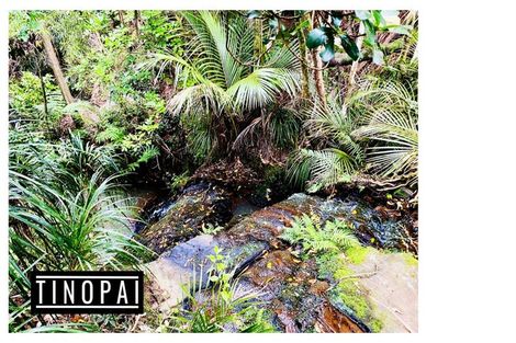 Photo of property in 1509 Tinopai Road, Tinopai, Matakohe, 0593