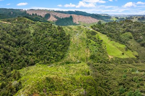 Photo of property in 709 Ahuroa Road, Puhoi, Warkworth, 0981